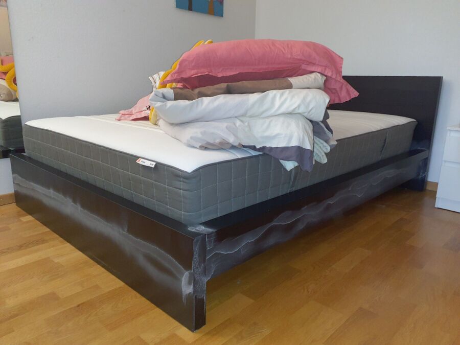 desinfestateur a-Luins-Inspektion.jpeg