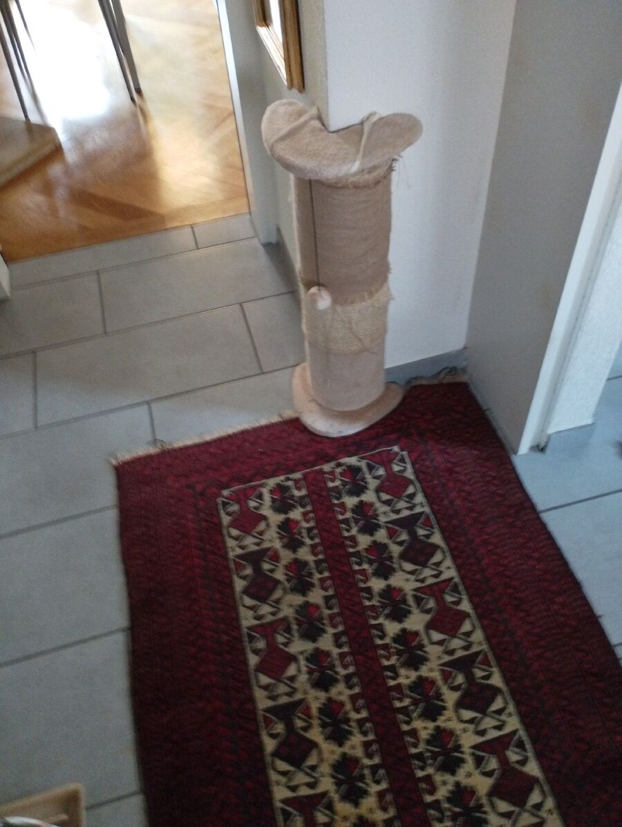 desinfestateur a-Châtel-sur-Montsalvens-Inspektion.jpeg