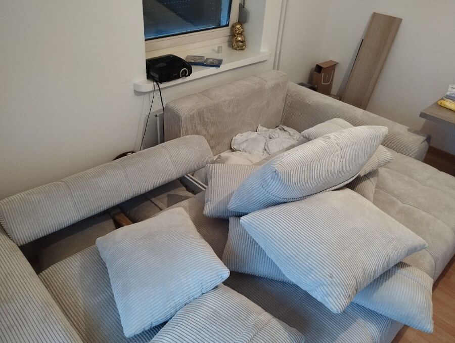 desinfestateur a-Jaun-Inspektion.jpeg