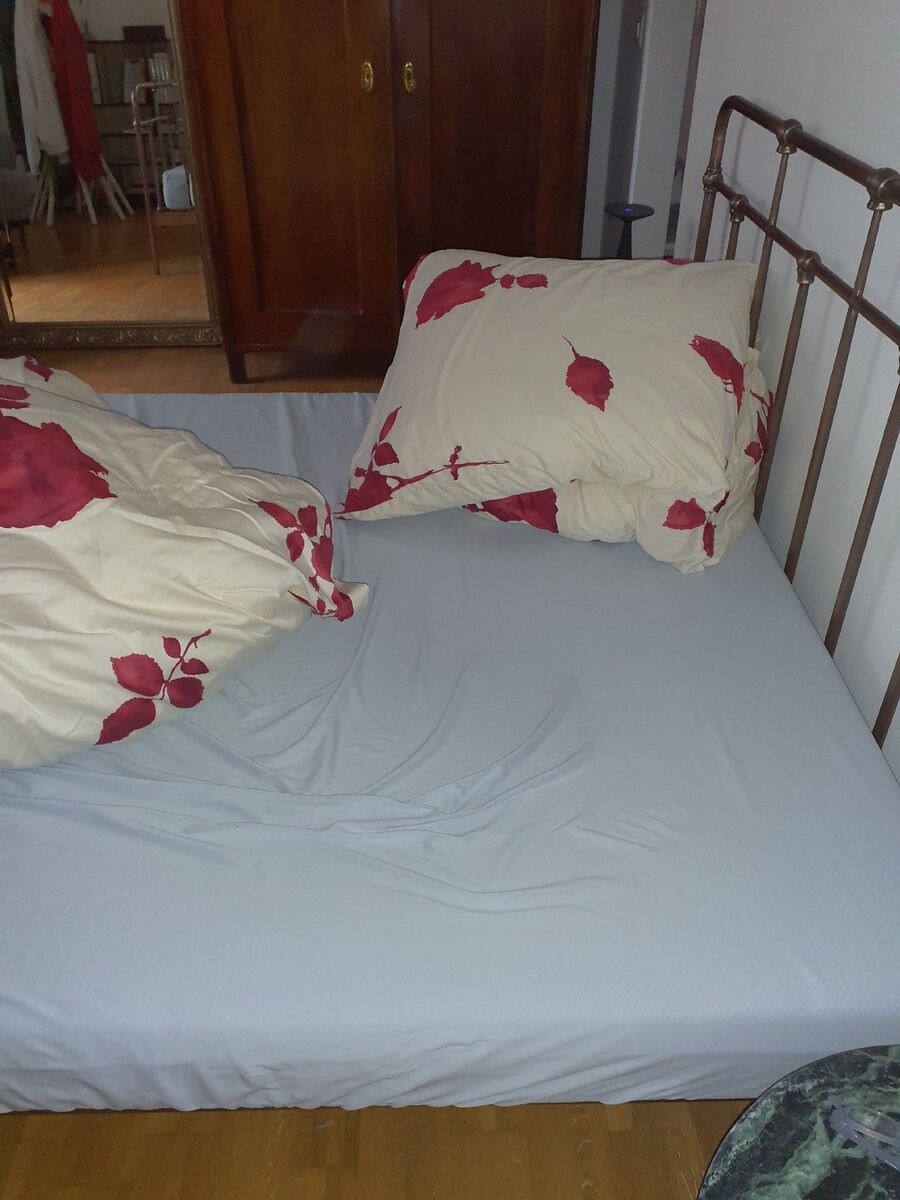 desinfestateur a-Mauborget-Inspektion.jpeg