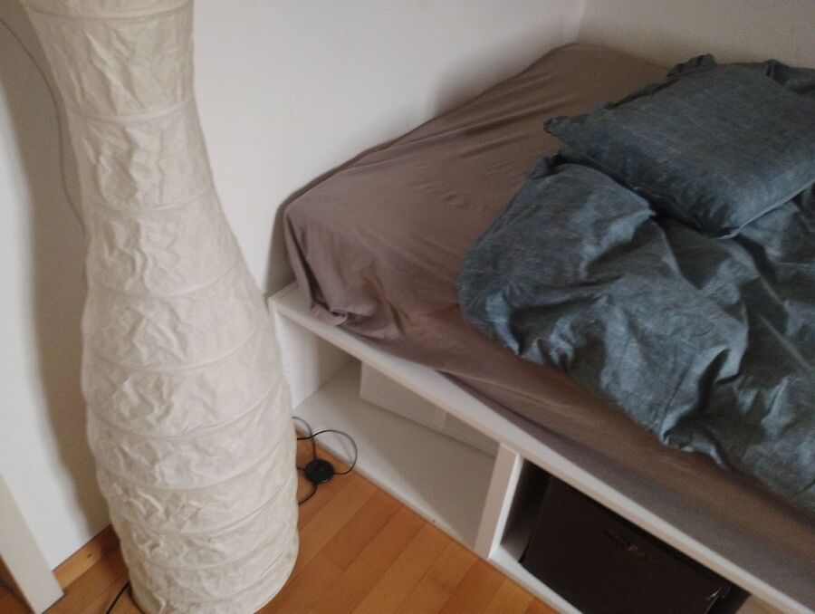 desinfestateur a-Cottens (FR)-Inspektion.jpeg