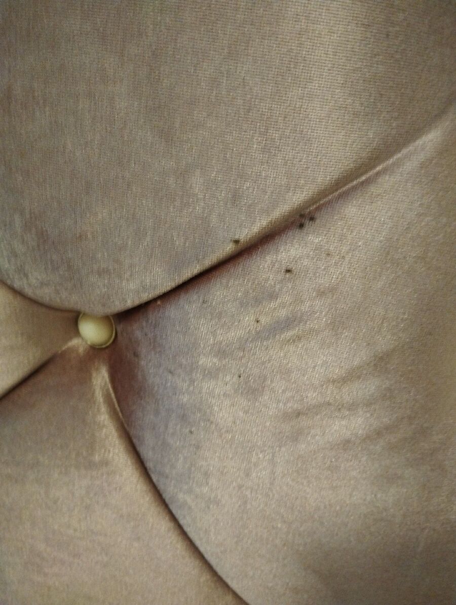 desinfestateur a-Missy-Inspektion.jpeg