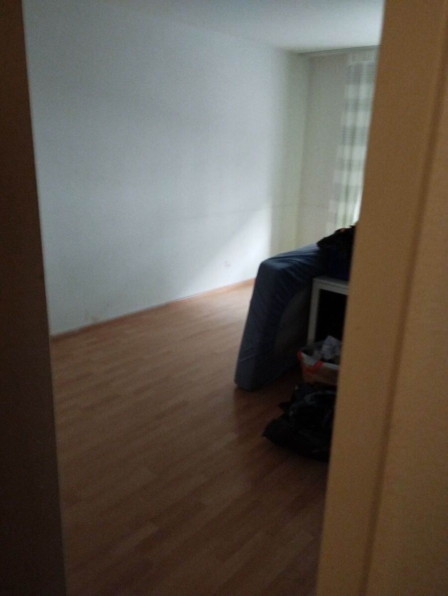 desinfestateur a-Mollens (VD)-Inspektion.jpeg