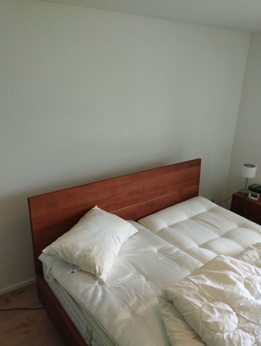 desinfestateur a-Echarlens-Inspektion.jpeg