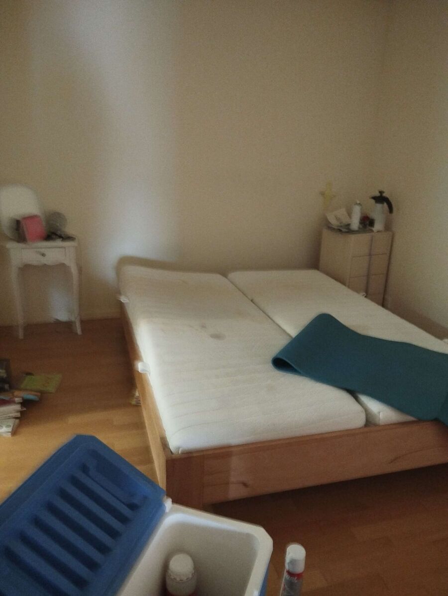 desinfestateur a-Bardonnex-Inspektion (31).jpeg