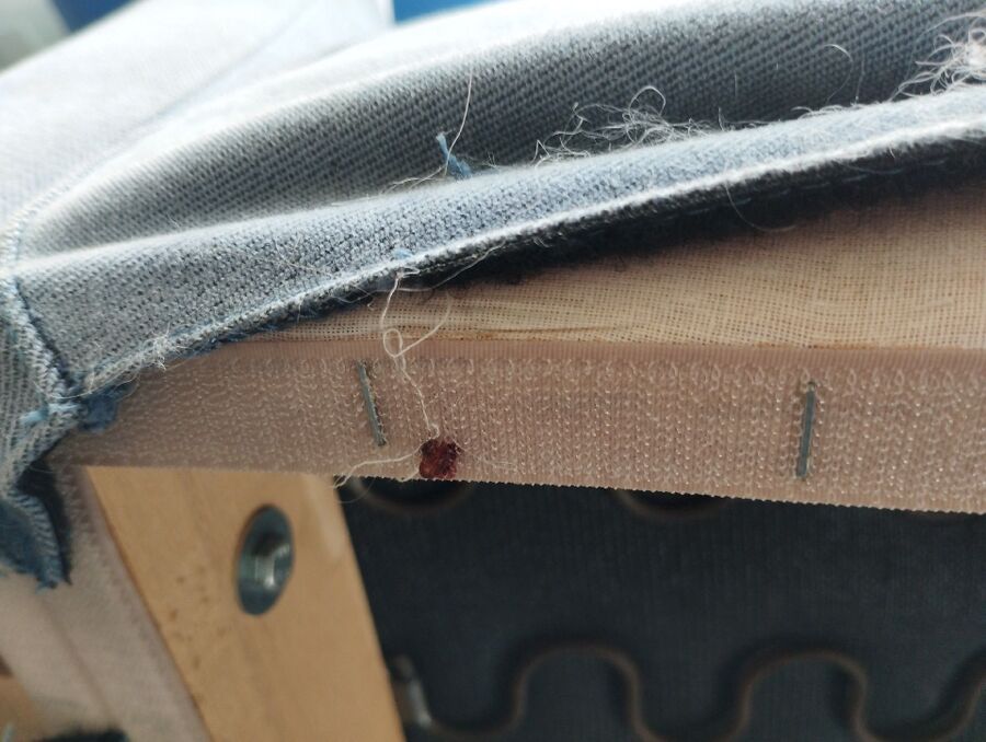 desinfestateur a-Bernex-Inspektion.jpeg