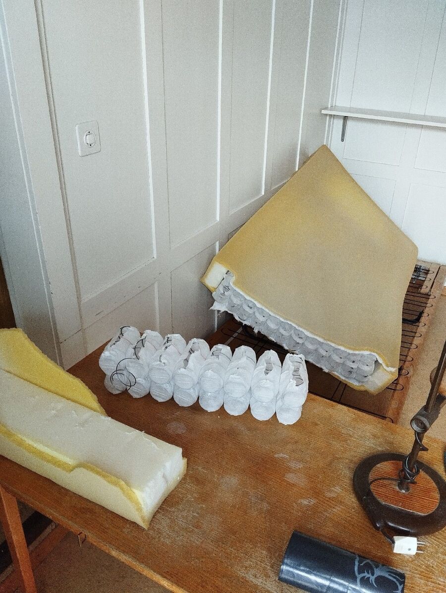 desinfestateur a-Perroy-Inspektion.jpeg