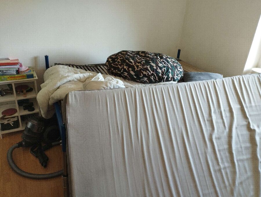 desinfestateur a-Pompaples-Inspektion.jpeg