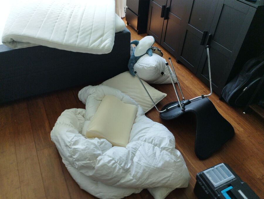 desinfestateur a-Mézières (FR)-Inspektion.jpeg