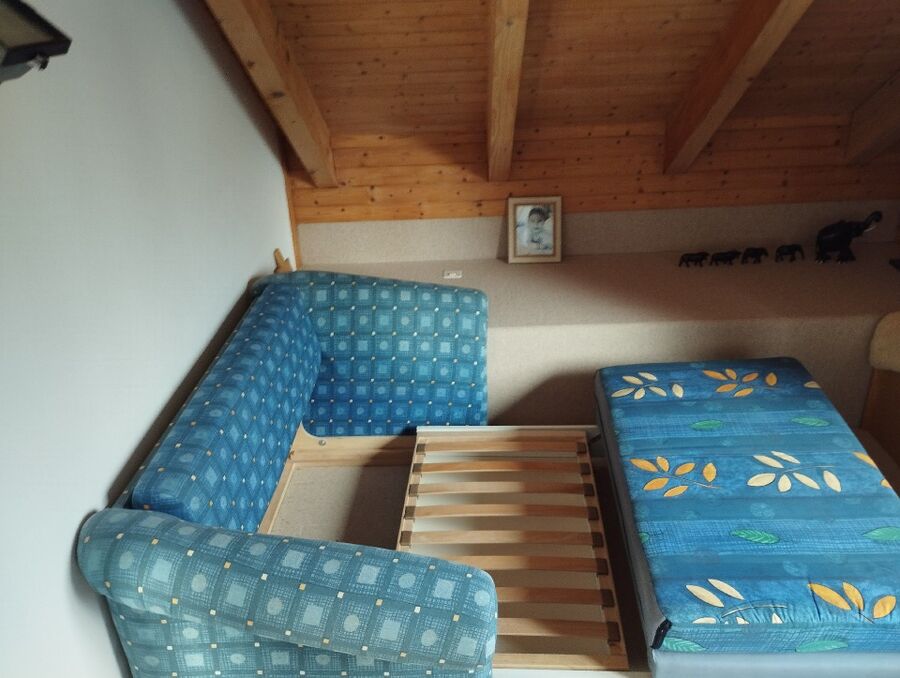 desinfestateur a-Dardagny-Inspektion.jpeg