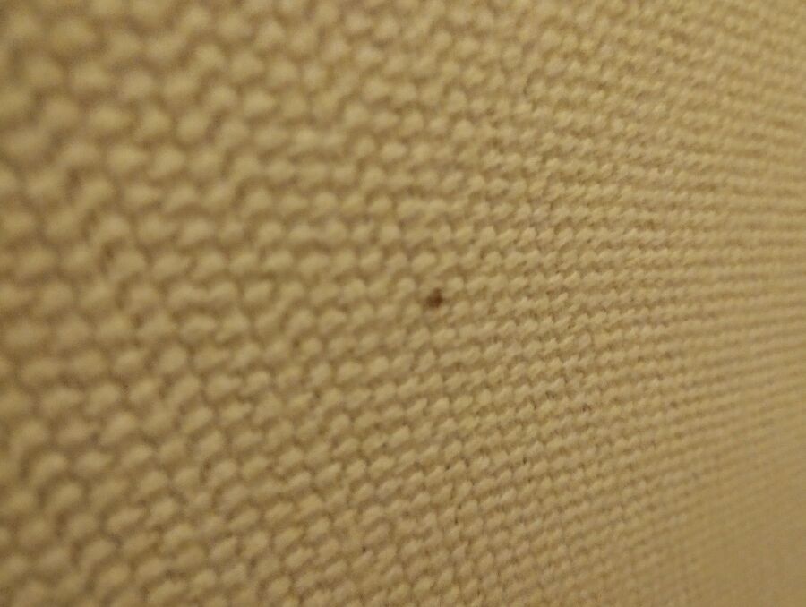 desinfestateur a-Pully-Inspektion.jpeg