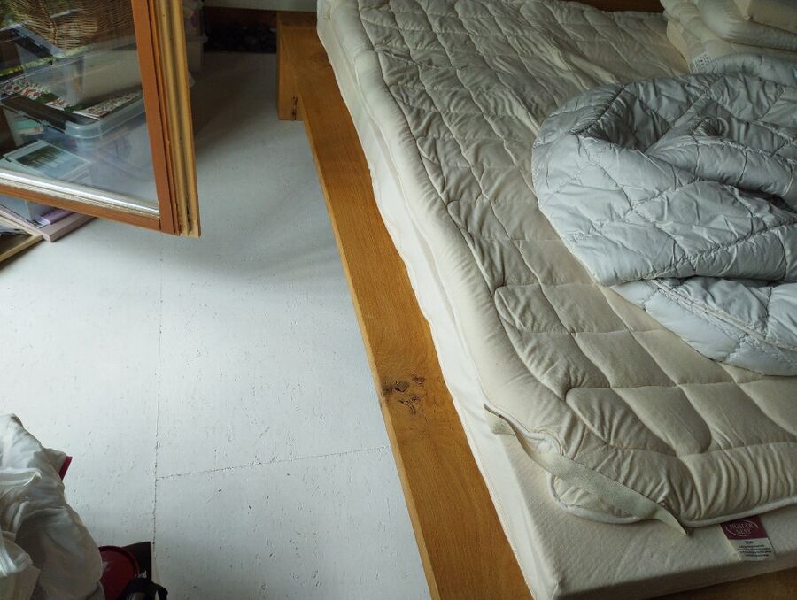 desinfestateur a-Meyrin-Inspektion.jpeg