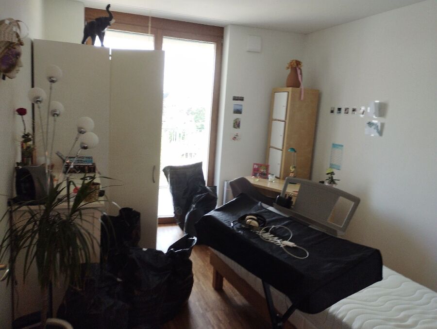 desinfestateur a-Rossinière-Inspektion.jpeg