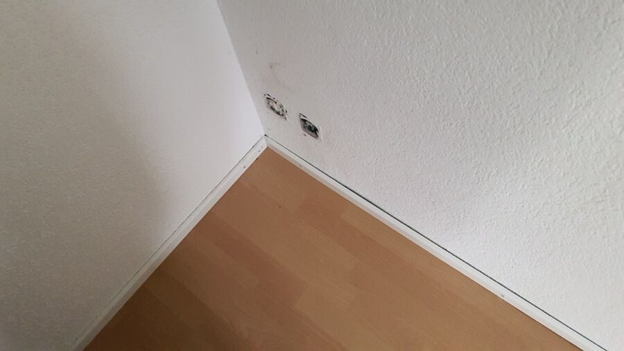 desinfestateur a-Rovray-Inspektion.jpeg