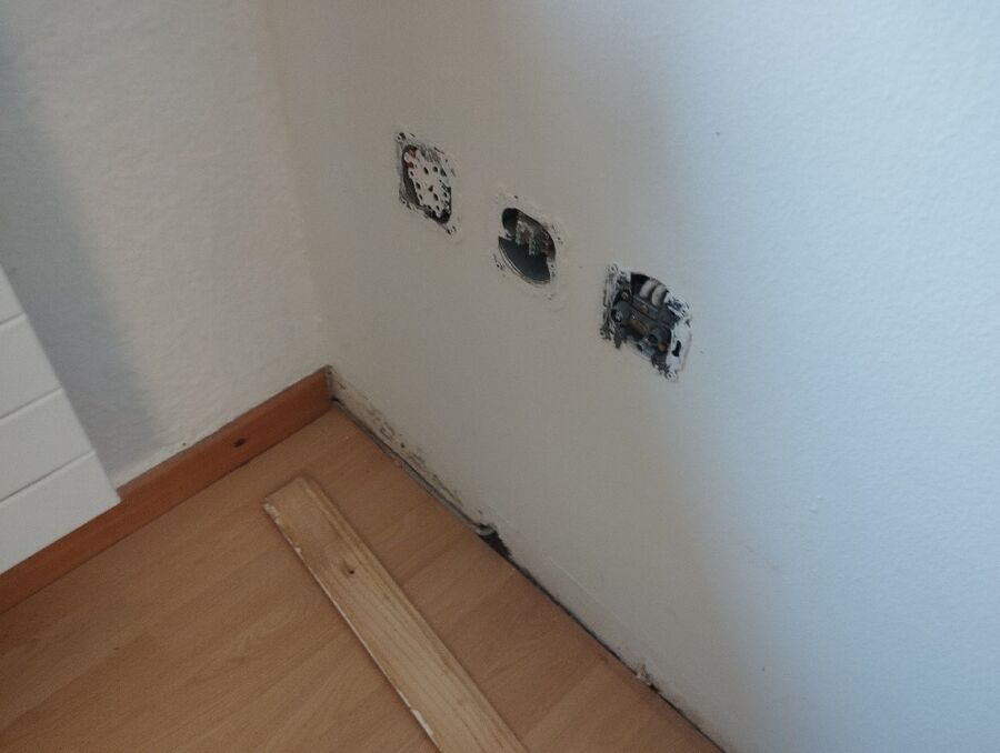 desinfestateur a-Thônex-Inspektion.jpeg