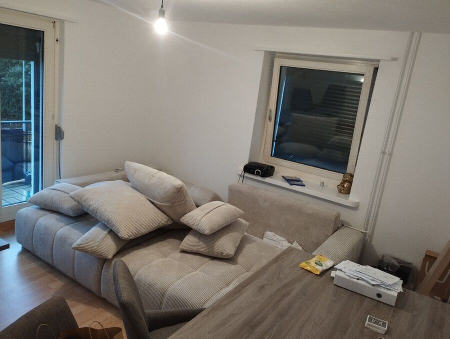 desinfestateur a-Rue-Inspektion.jpeg