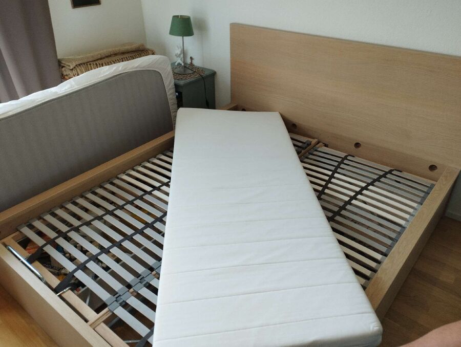 desinfestateur a-St. Silvester-Inspektion.jpeg