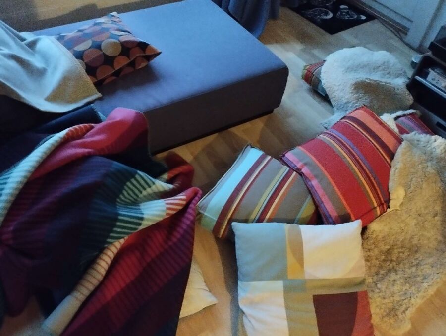 desinfestateur a-Tafers-Inspektion.jpeg