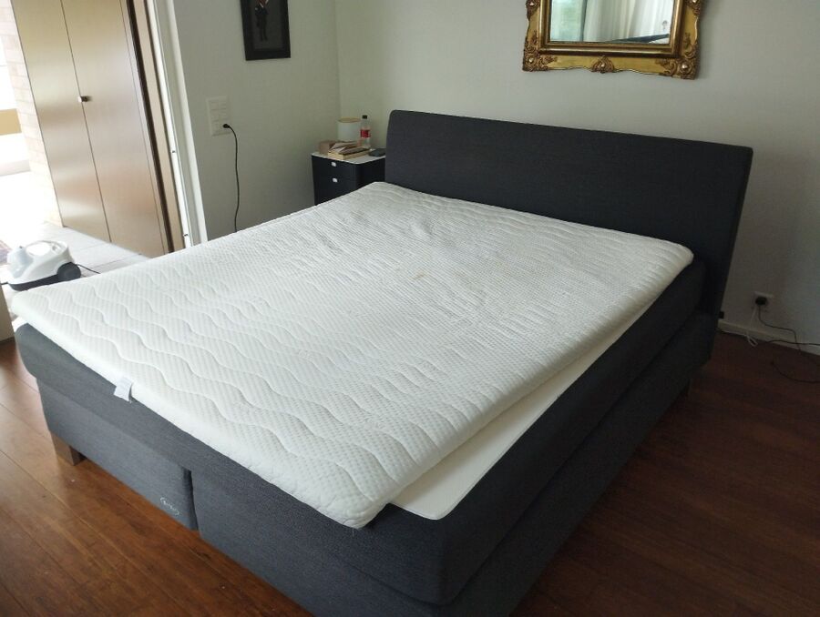 desinfestateur a-Torny-Inspektion.jpeg