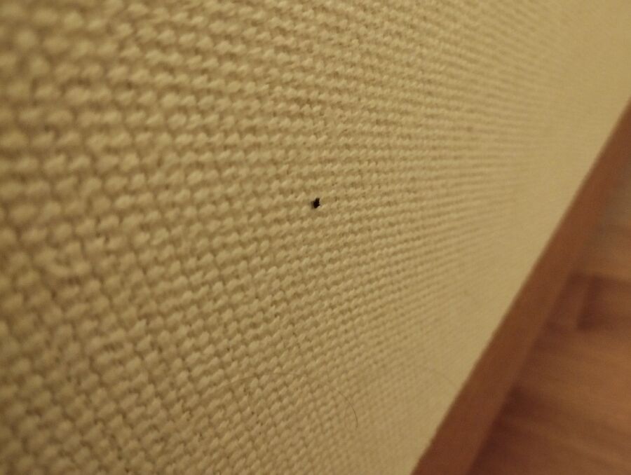 desinfestateur a-Tannay-Inspektion.jpeg