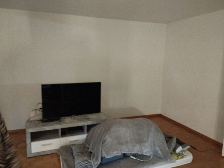 desinfestateur a-Villarsel-sur-Marly-Inspektion.jpeg