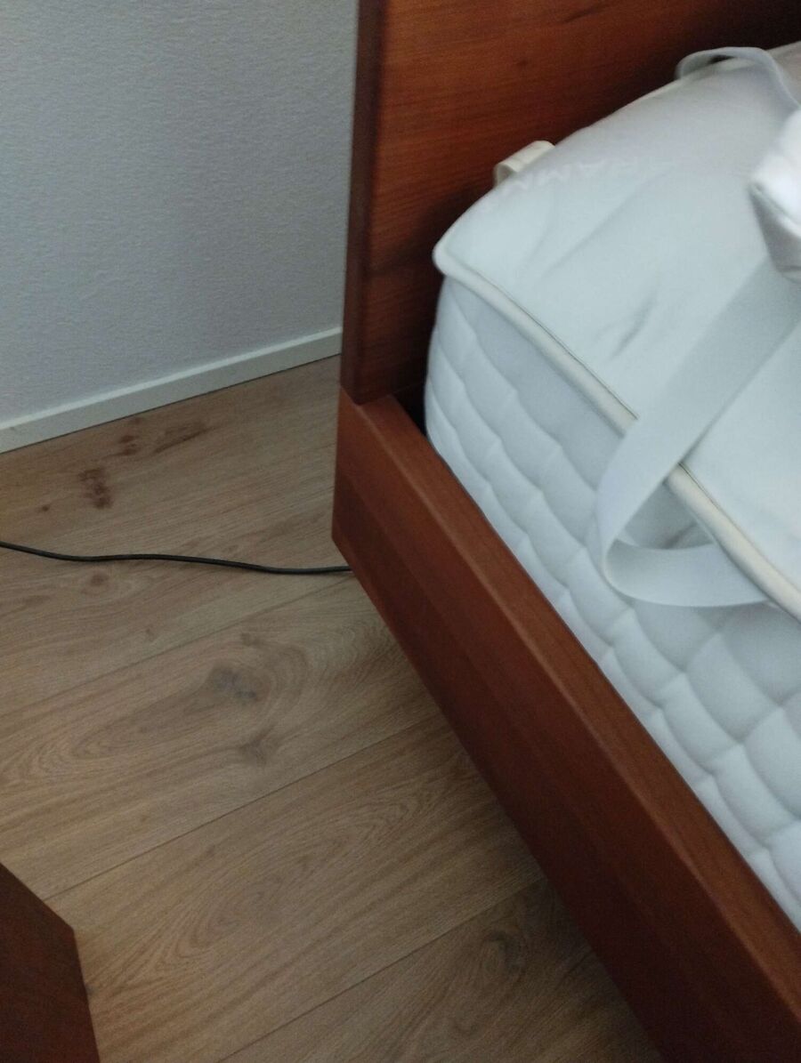 desinfestateur a-Montreux-Inspektion.jpeg