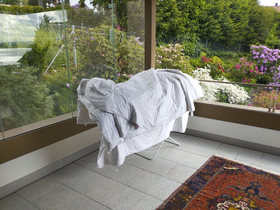 desinfestateur a-Valeyres-sous-Ursins-Inspektion.jpeg