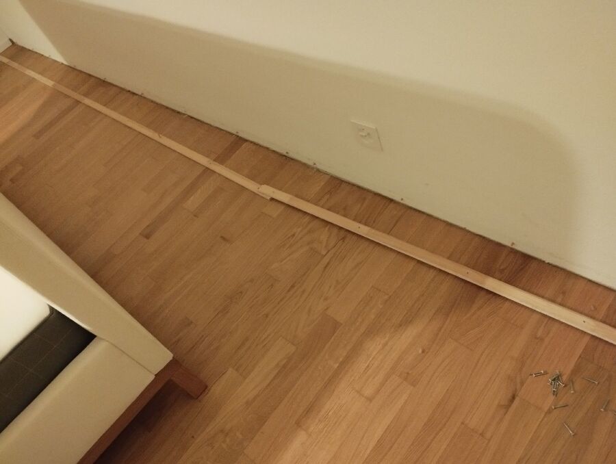 desinfestateur a-Haute-Ajoie-Inspektion.jpeg