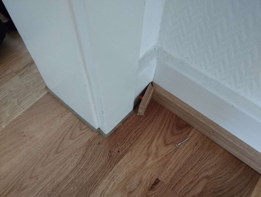 desinfestateur exterminateur-Brot-Plamboz-Einsatzvorbereitung