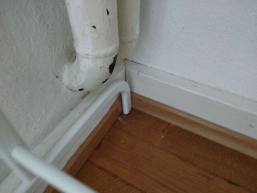 desinfestateur exterminateur-Lajoux (JU)-Einsatzvorbereitung.jpeg