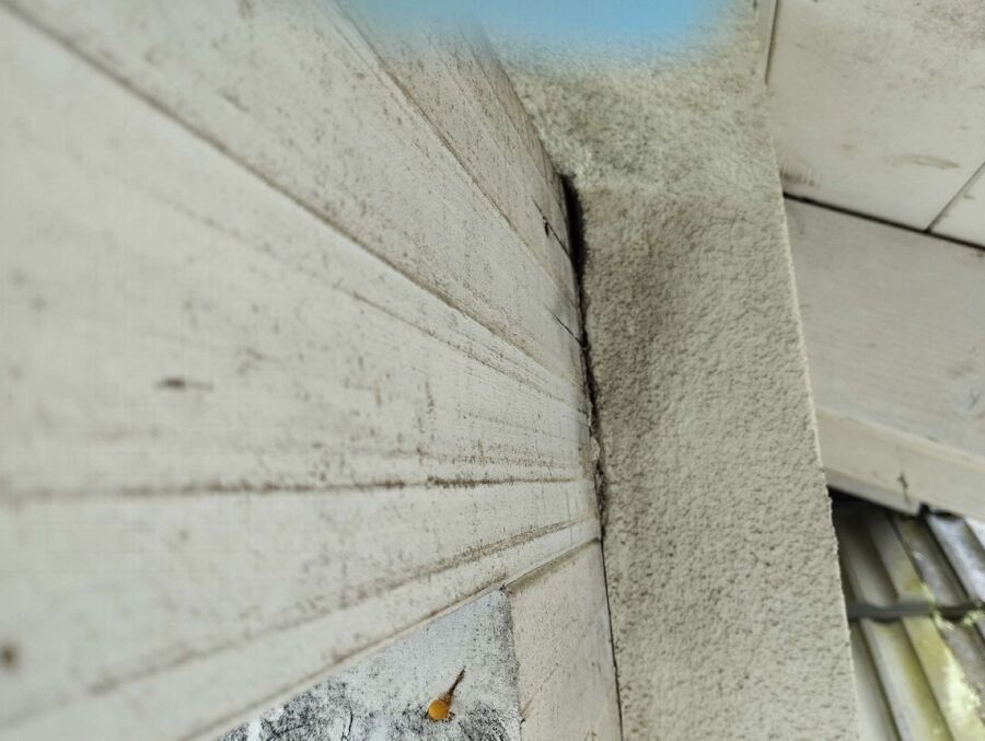 desinfestateur exterminateur-Le Noirmont-Einsatzvorbereitung.jpeg