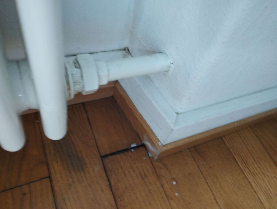 desinfestateur exterminateur-Les Breuleux-Einsatzvorbereitung.jpeg