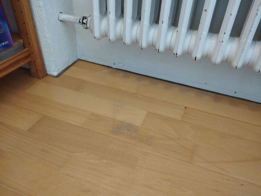 desinfestateur exterminateur-Les Genevez (JU)-Einsatzvorbereitung.jpeg