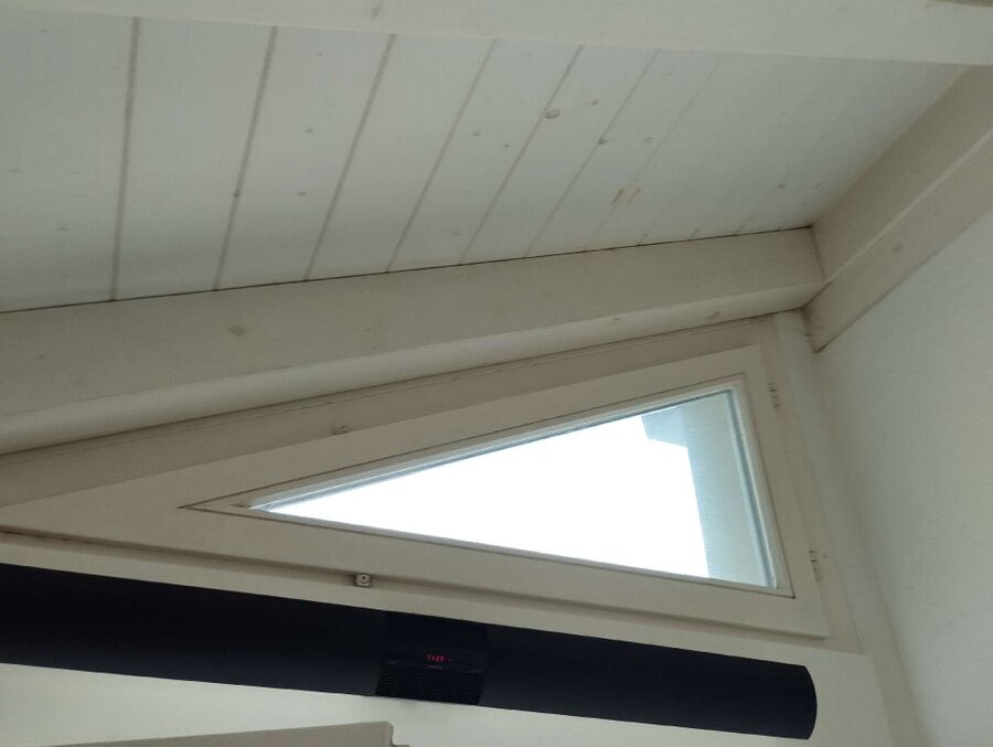 desinfestateur exterminateur-Lugnez-Einsatzvorbereitung.jpeg