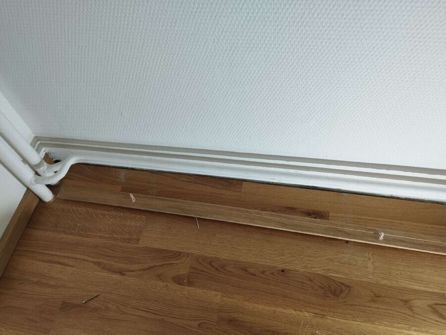 desinfestateur exterminateur-Porrentruy-Einsatzvorbereitung.jpeg