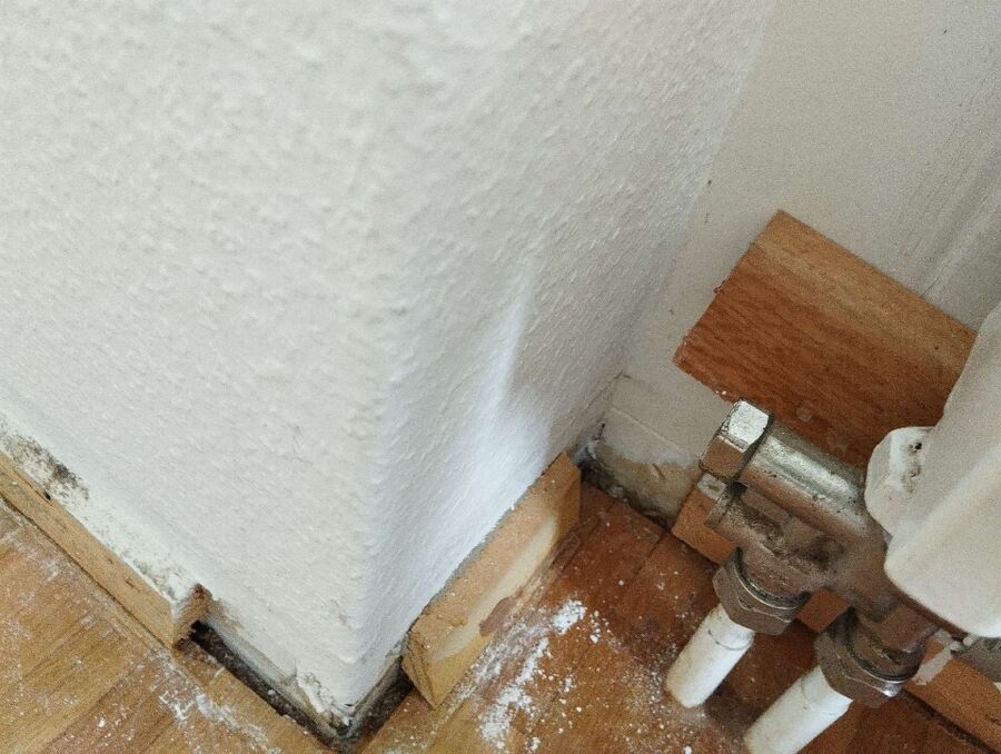 desinfestateur exterminateur-Rossemaison-Einsatzvorbereitung.jpeg