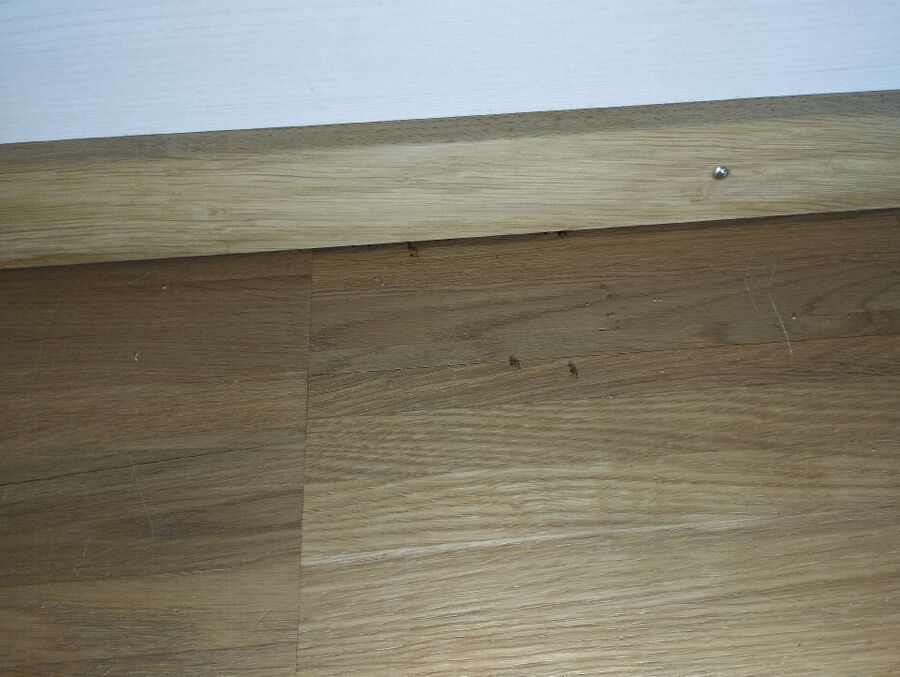 desinfestateur exterminateur-Saulcy-Einsatzvorbereitung.jpeg