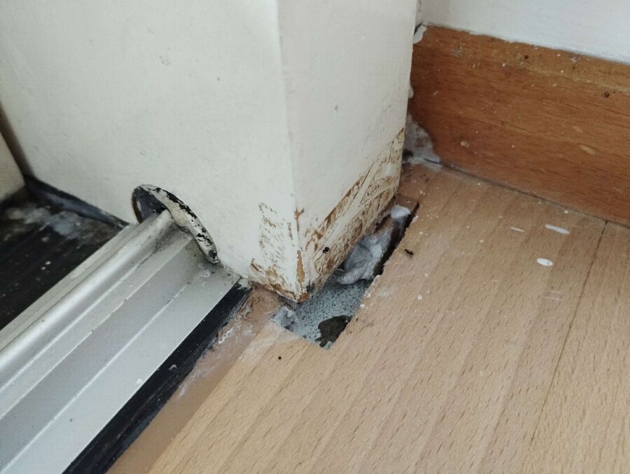 desinfestateur exterminateur-Soubey-Einsatzvorbereitung.jpeg