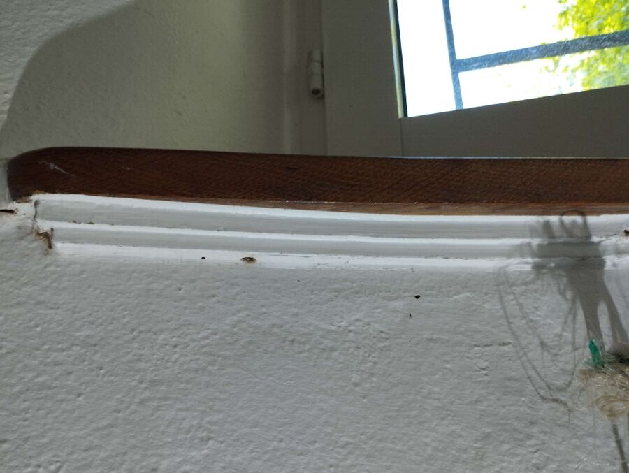 desinfestateur exterminateur-Soyhières-Einsatzvorbereitung.jpeg