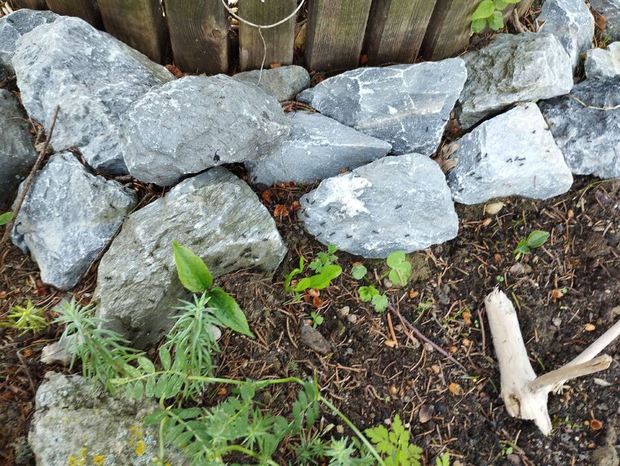 desinfestateur exterminateur-Ardon-Einsatzvorbereitung.jpeg