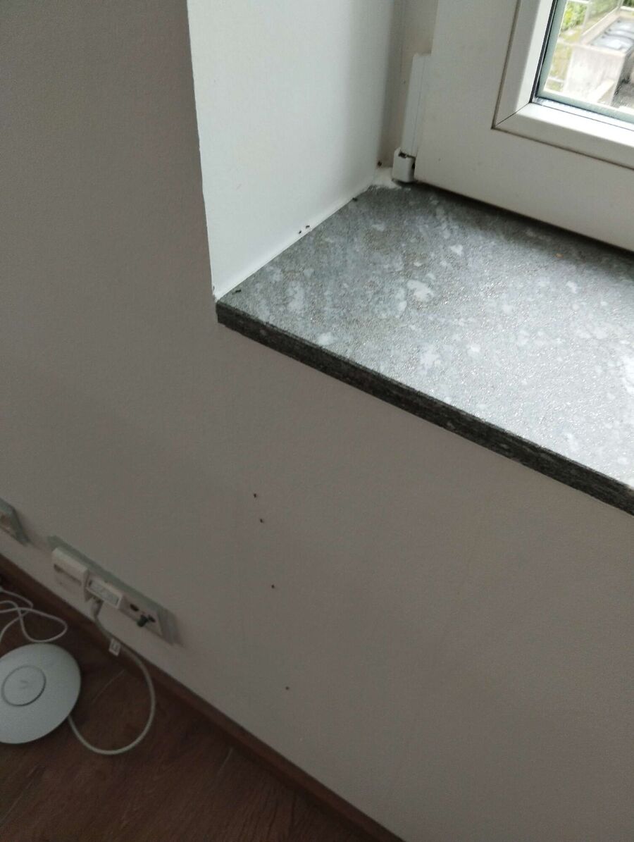 desinfestateur exterminateur-Ausserberg-Einsatzvorbereitung.jpeg