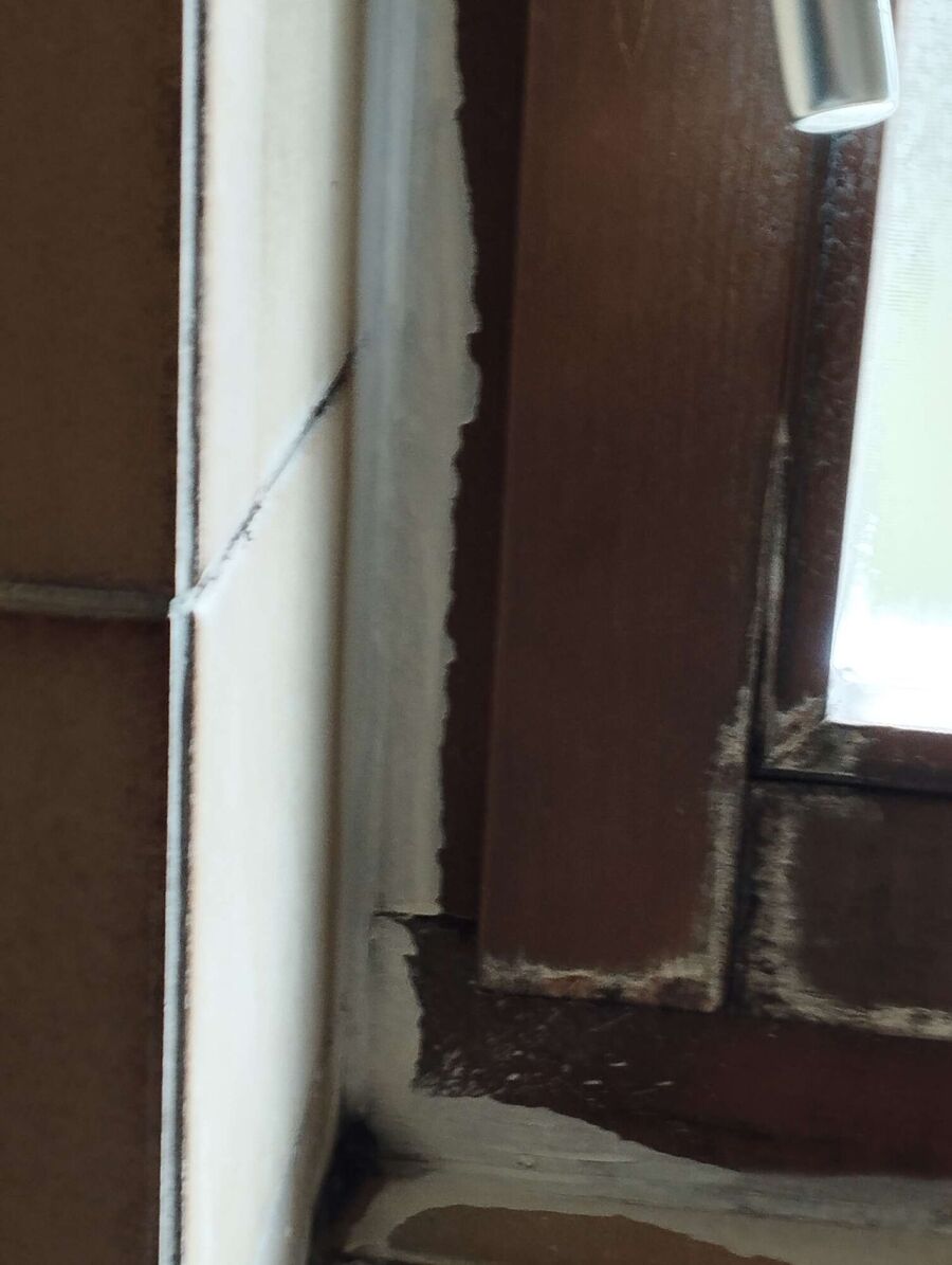 desinfestateur exterminateur-Bellwald-Einsatzvorbereitung.jpeg