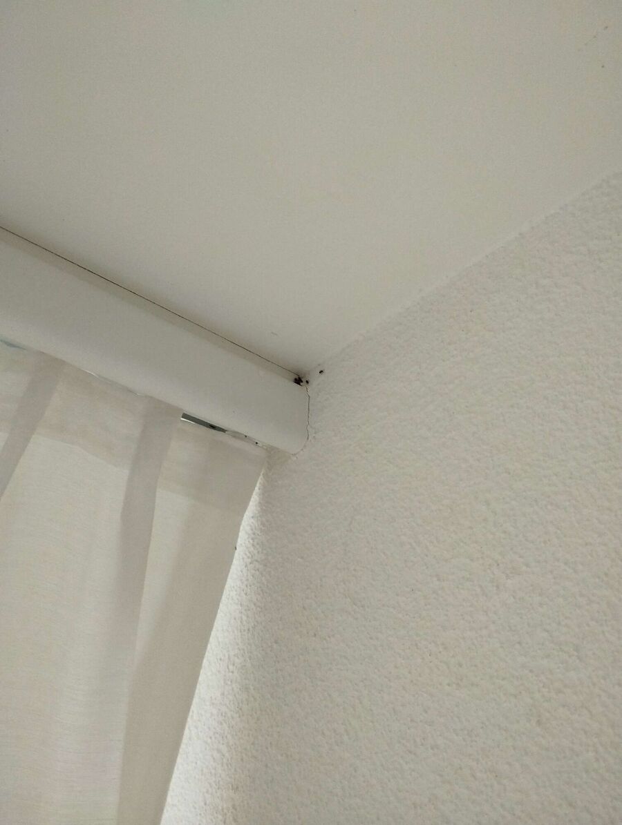 desinfestateur exterminateur-Bettmeralp-Einsatzvorbereitung.jpeg