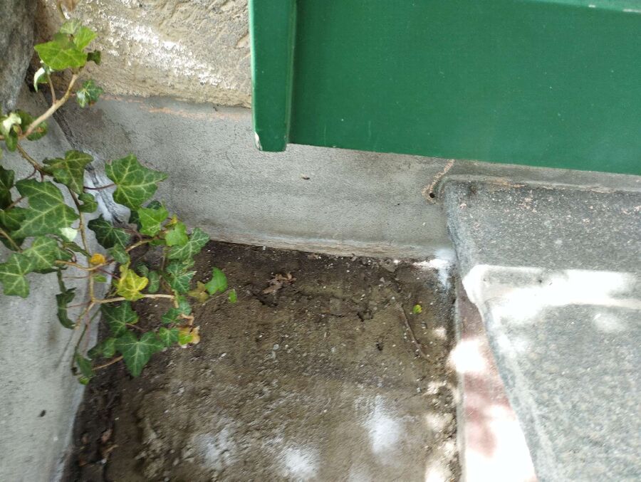 desinfestateur exterminateur-Bitsch-Einsatzvorbereitung.jpeg