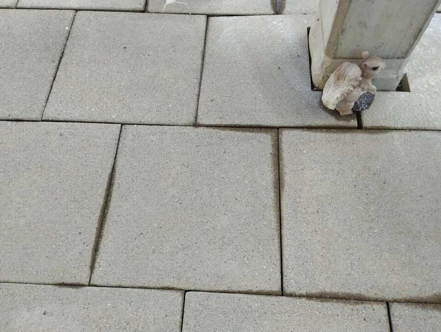 desinfestateur exterminateur-Bürchen-Einsatzvorbereitung.jpeg