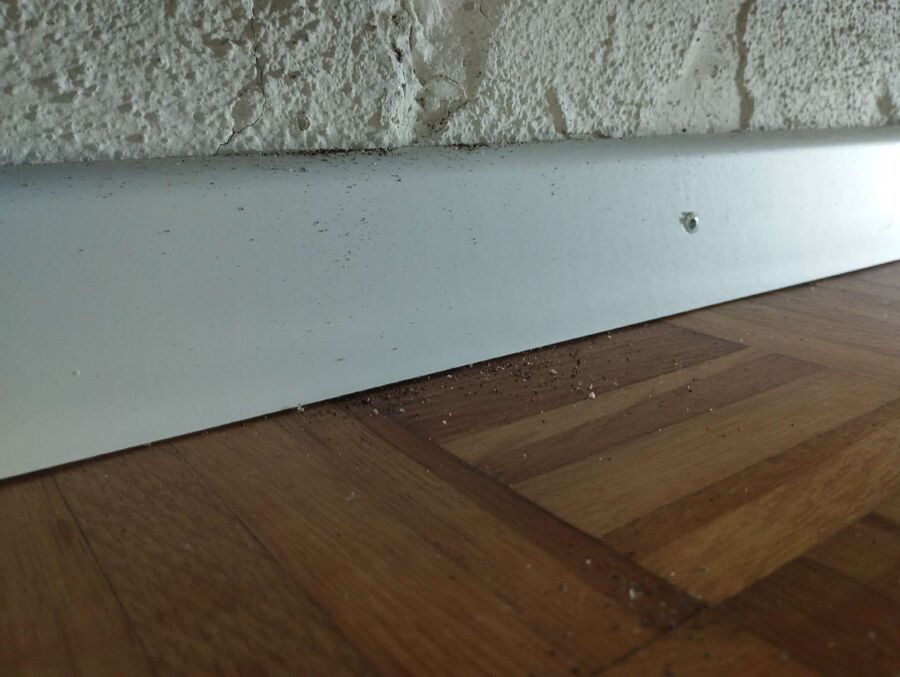 desinfestateur exterminateur-Chamoson-Einsatzvorbereitung.jpeg