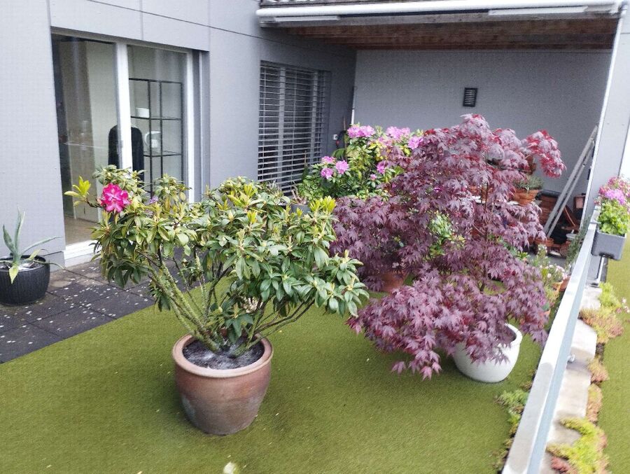 desinfestateur exterminateur-Crans-Montana-Einsatzvorbereitung.jpeg