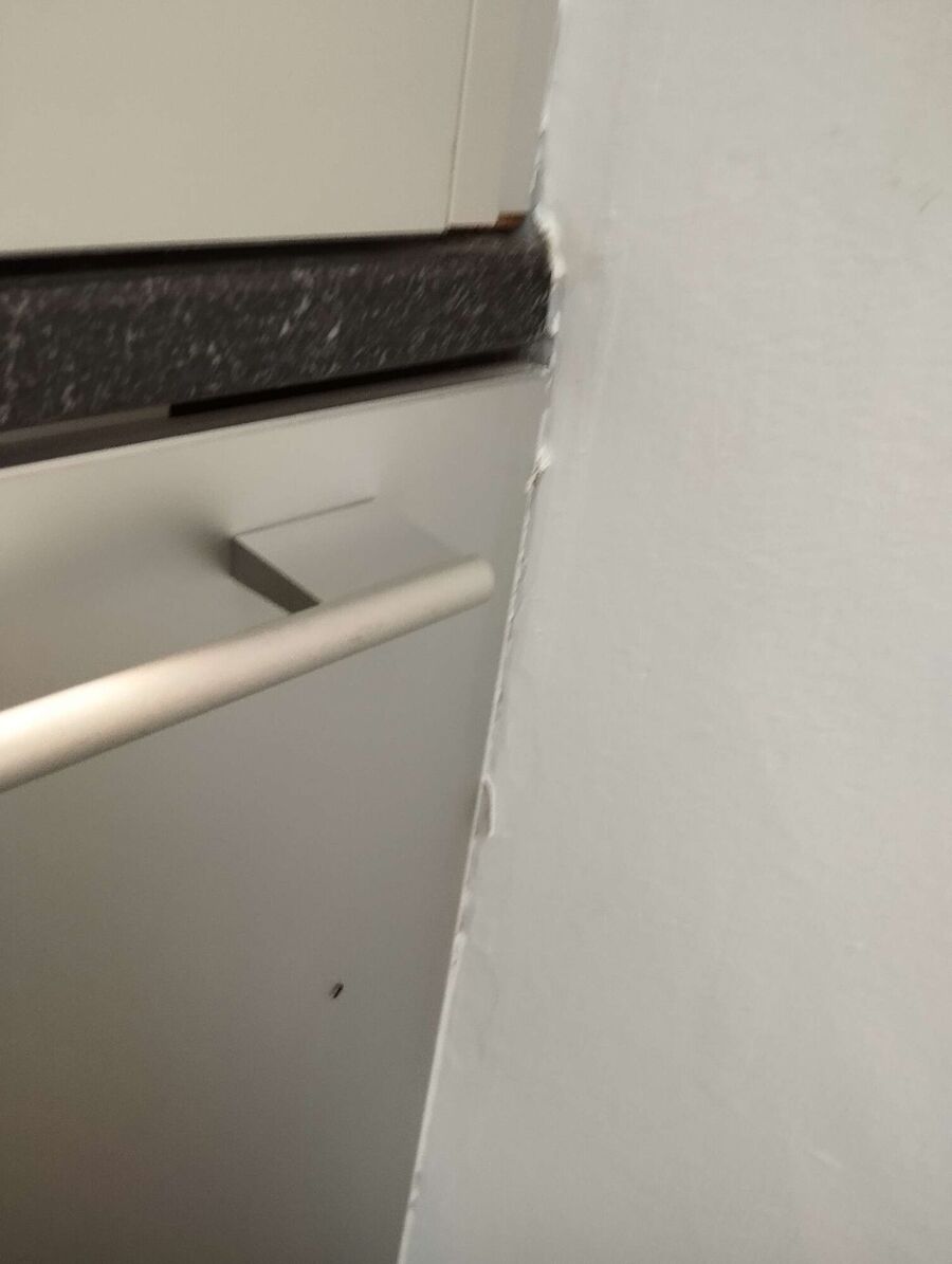 desinfestateur exterminateur-Eggerberg-Einsatzvorbereitung.jpeg