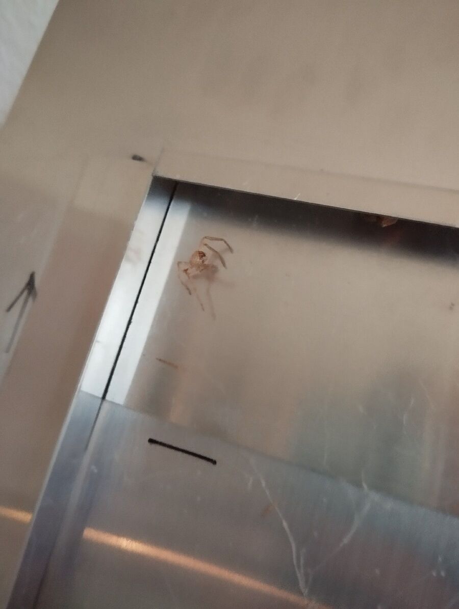 desinfestateur exterminateur-Ernen-Einsatzvorbereitung.jpeg