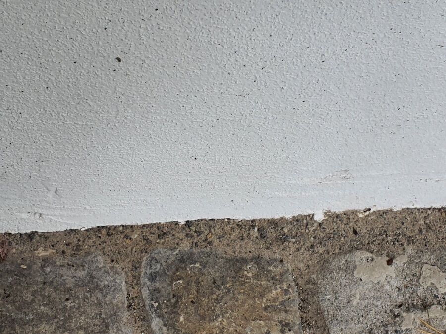 desinfestateur exterminateur-Evolène-Einsatzvorbereitung.jpeg